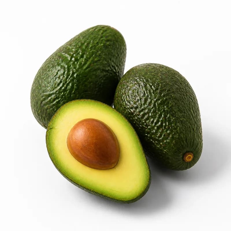 Palta